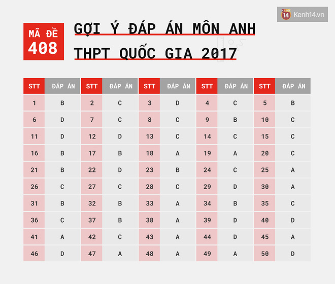 HOT: Gợi ý đáp án môn Anh kì thi tốt nghiệp THPTQG 2017 - Ảnh 2.