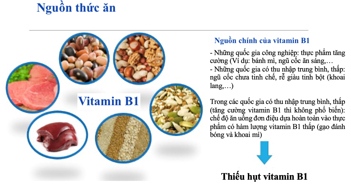 Liên quan giữa vitamin B1 dạng nước và hệ tiêu hóa là gì?
