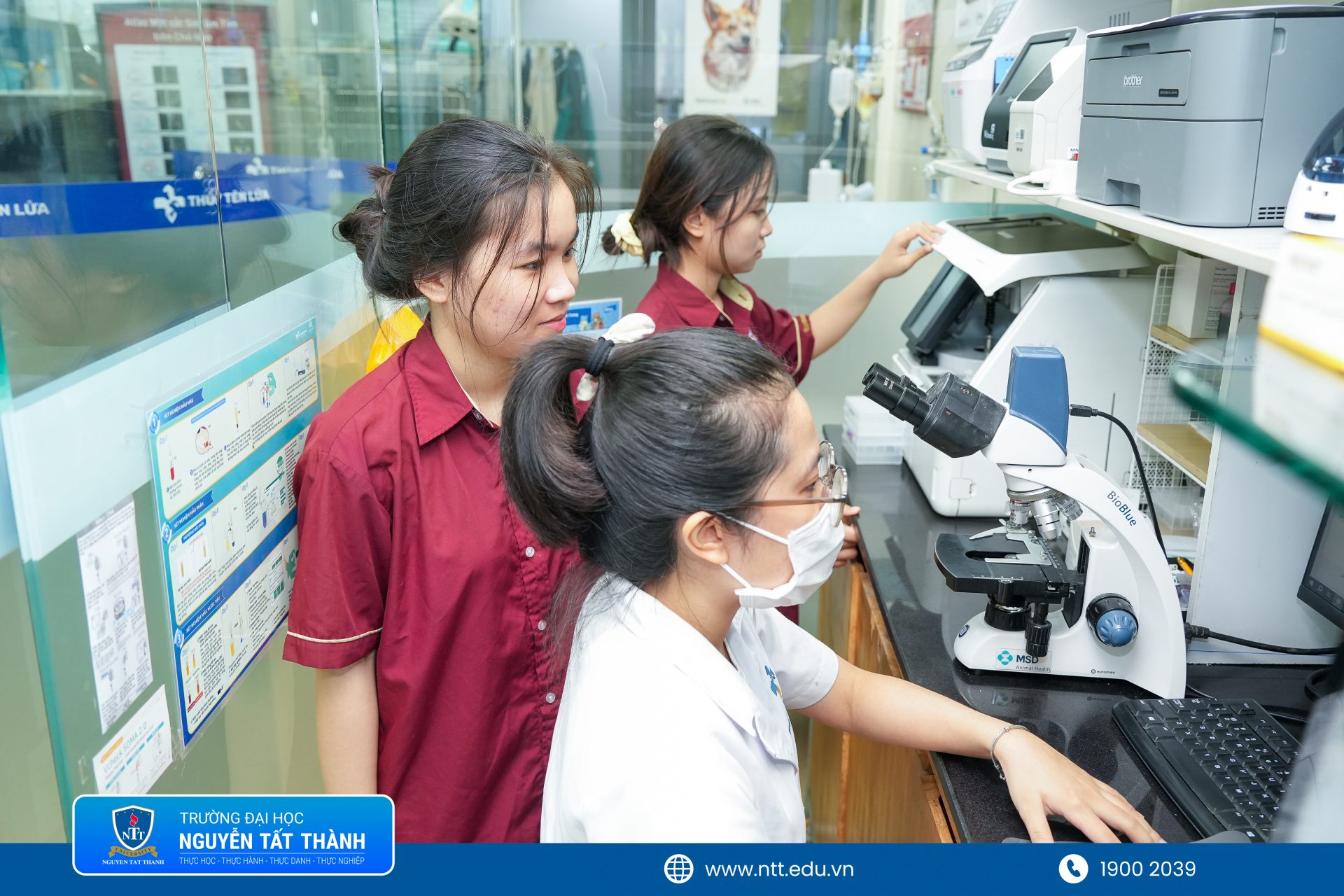 Sinh viên ngành Thú y Trường Đại học Nguyễn Tất Thành tìm hiểu quy trình xét nghiệm và hỗ trợ chẩn đoán bệnh trên thú cưng