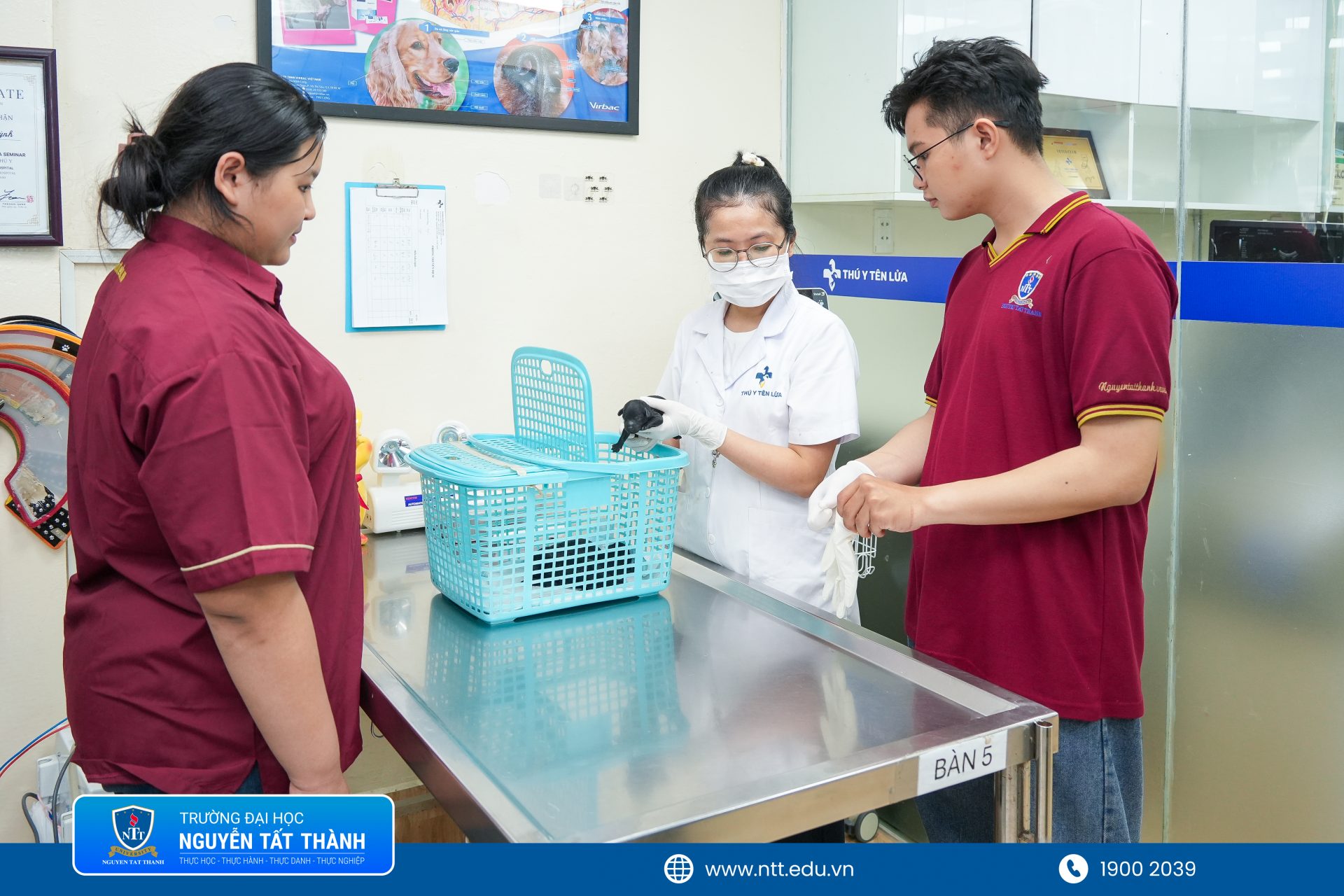 Sinh viên ngành Thú y Trường Đại học Nguyễn Tất Thành tìm hiểu quy trình xét nghiệm và hỗ trợ chẩn đoán bệnh trên thú cưng