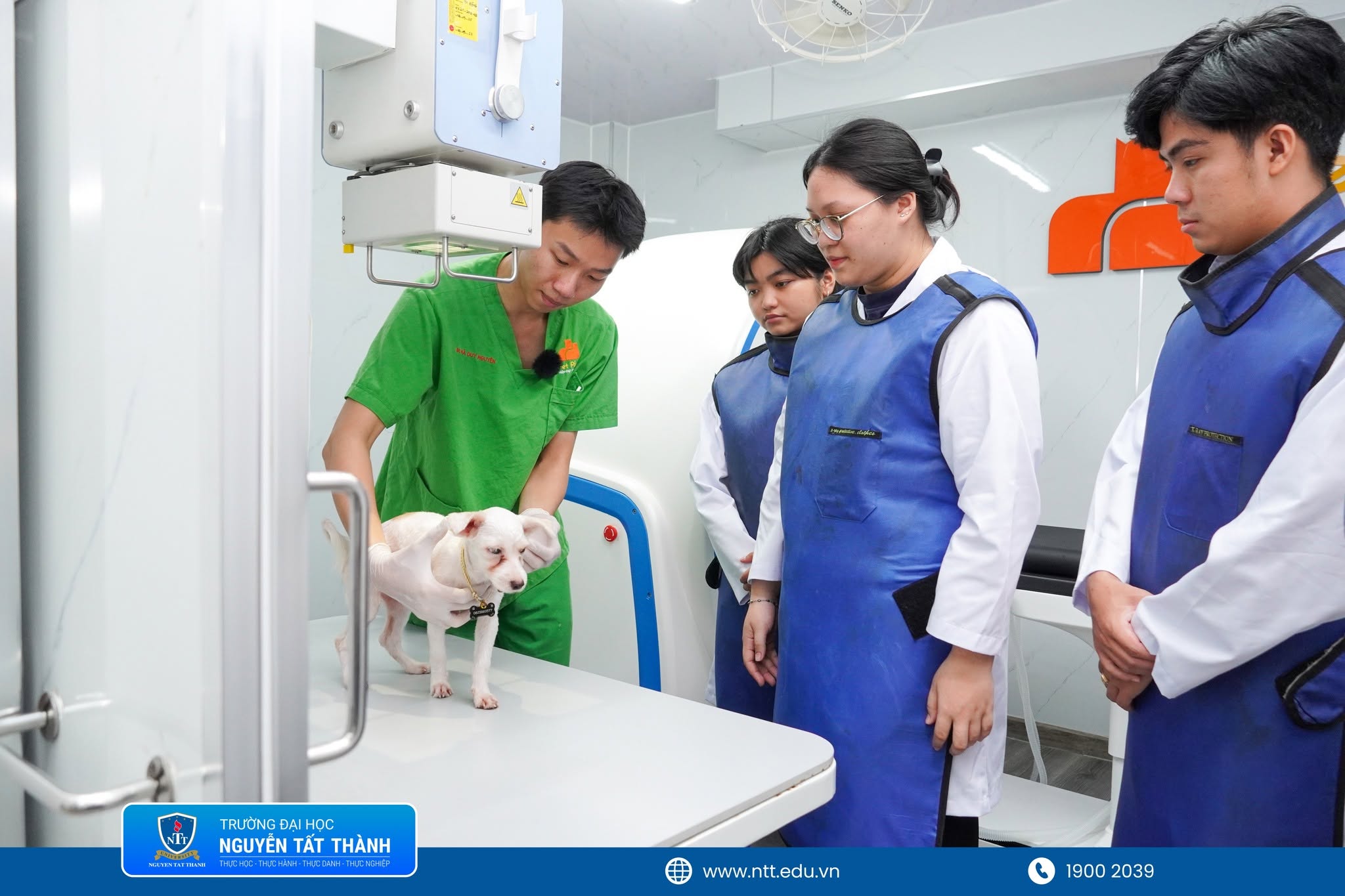 Sinh viên ngành Thú y NTTU quan sát quy trình thăm khám và chăm sóc các “bệnh nhân bốn chân” tại phòng khám