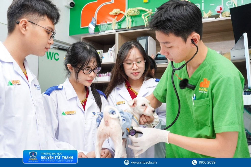 Sinh viên ngành Thú y NTTU quan sát quy trình thăm khám và chăm sóc các “bệnh nhân bốn chân” tại phòng khám
