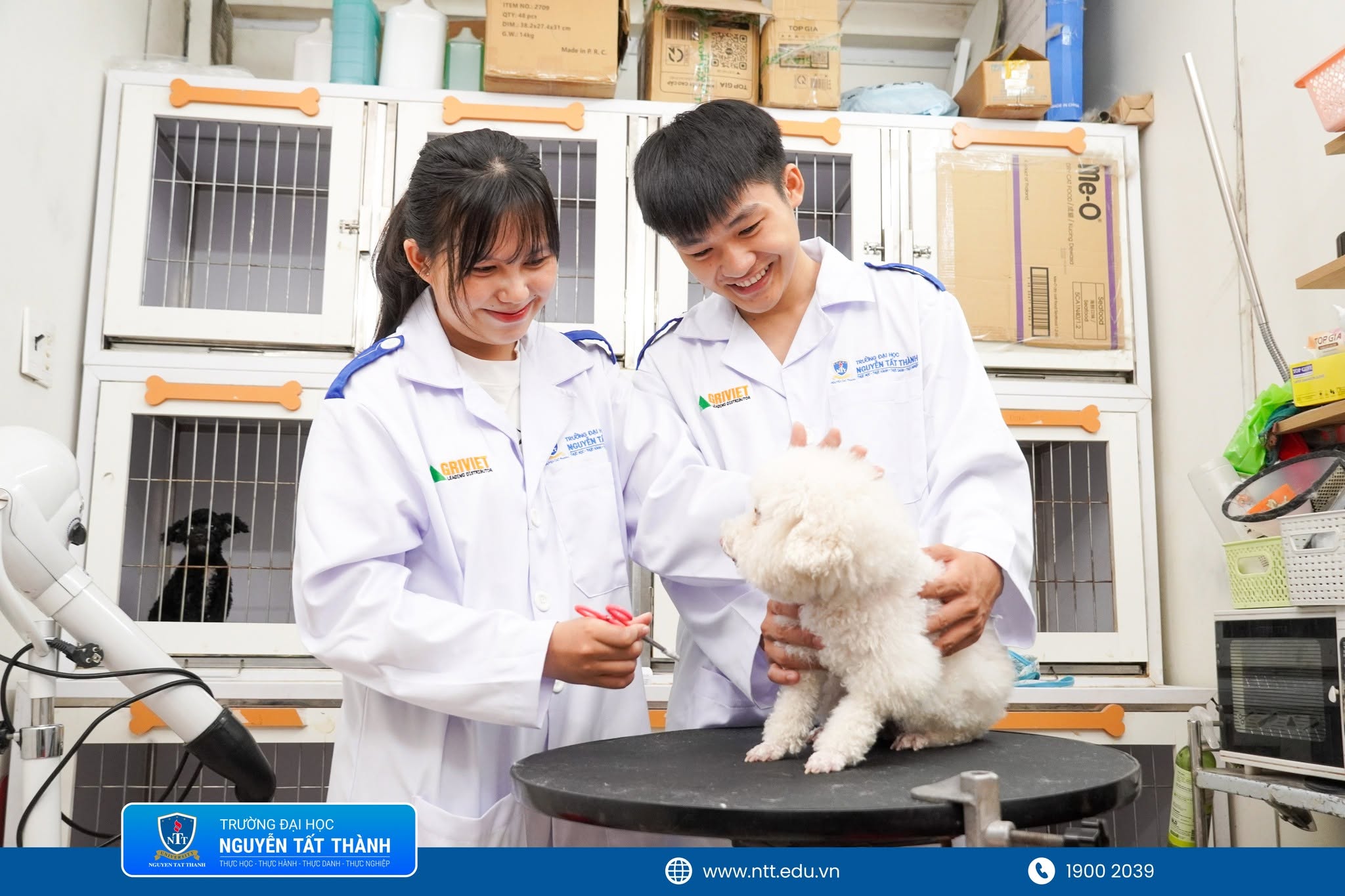 Sinh viên ngành Thú y NTTU tìm hiểu dịch vụ grooming – một phần quan trọng trong hệ sinh thái chăm sóc thú cưng hiện nay