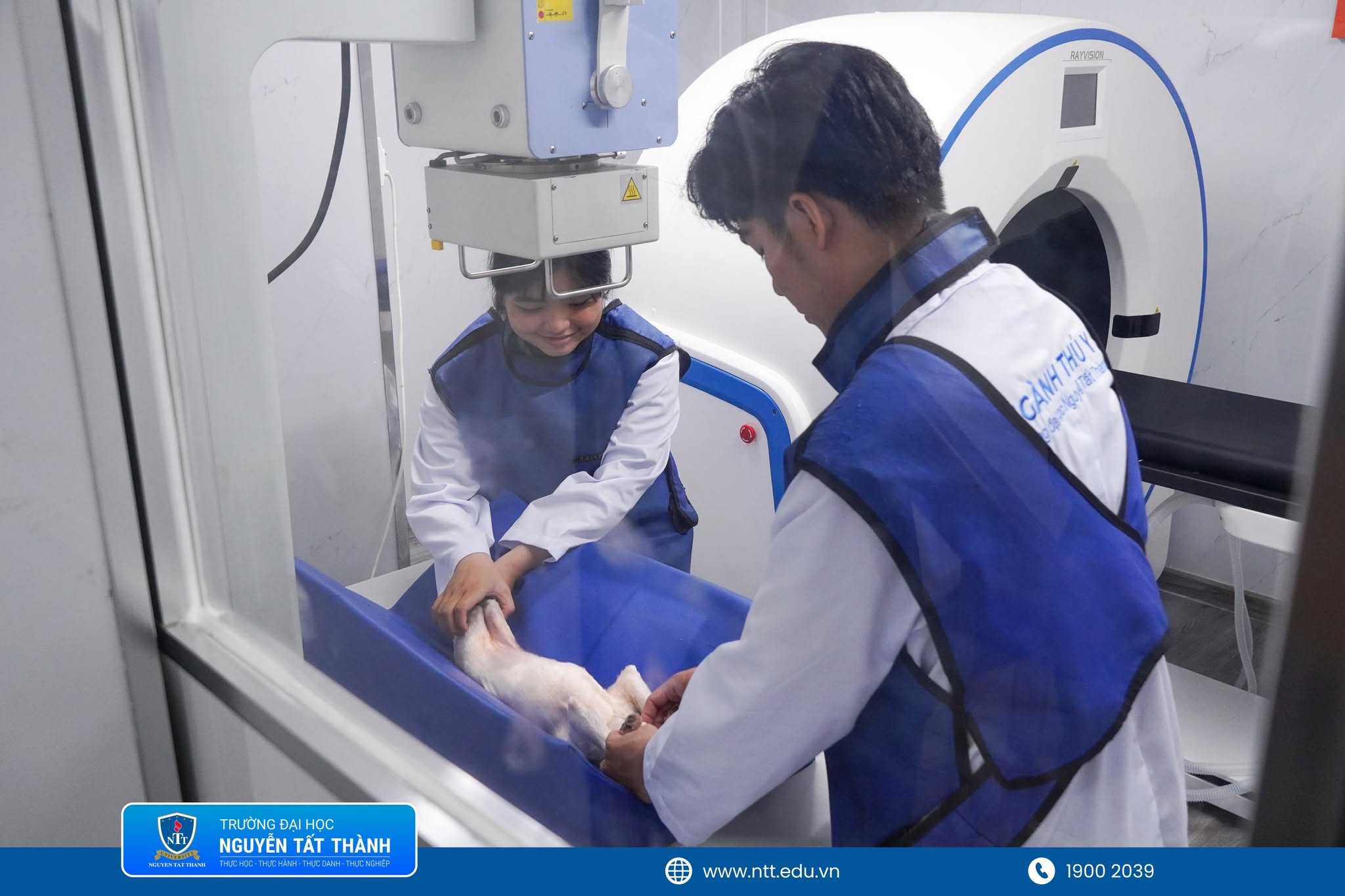Sinh viên ngành Thú y NTTU quan sát quy trình thăm khám và chăm sóc các “bệnh nhân bốn chân” tại phòng khám