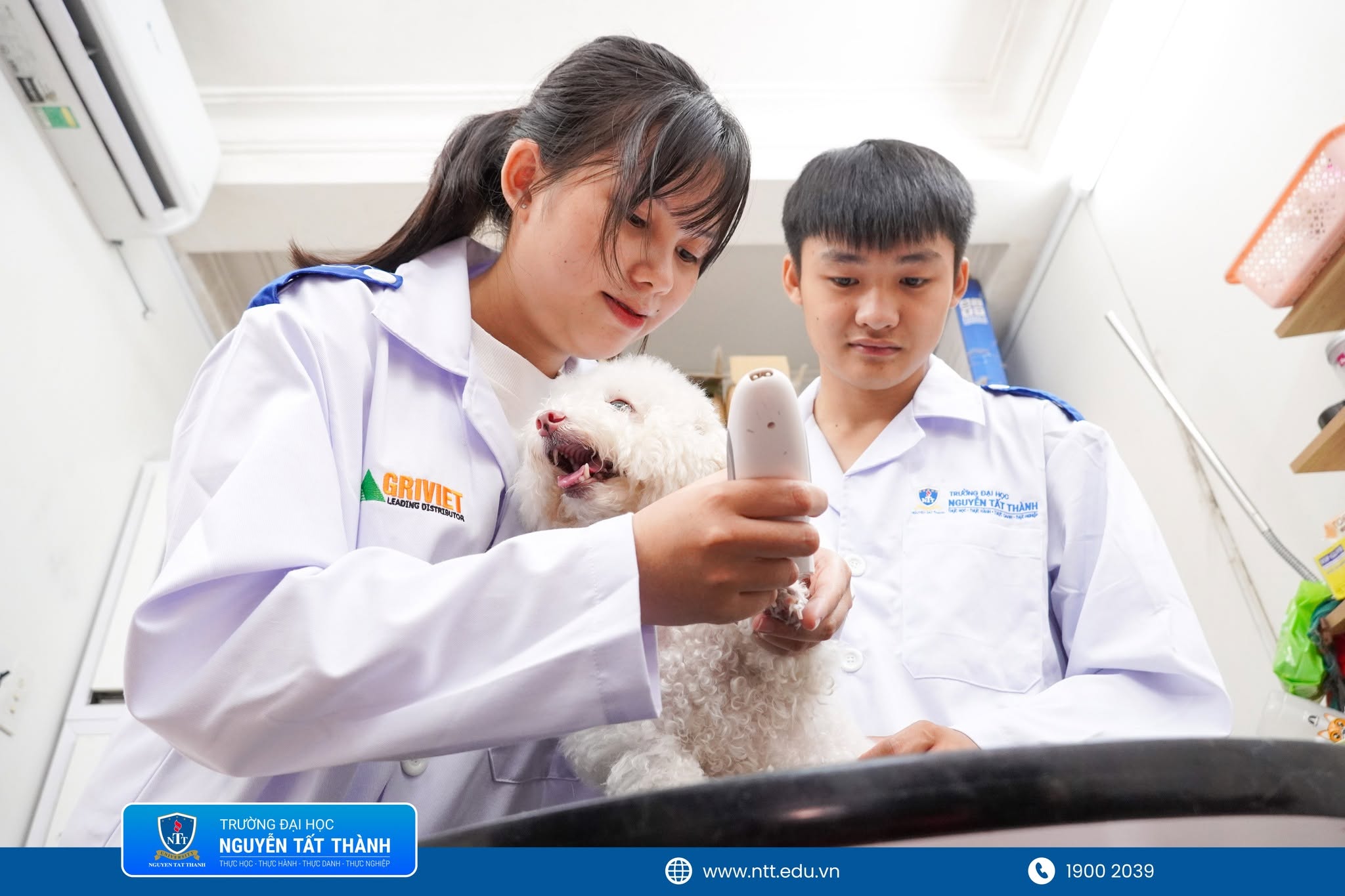 Sinh viên ngành Thú y NTTU tìm hiểu dịch vụ grooming – một phần quan trọng trong hệ sinh thái chăm sóc thú cưng hiện nay