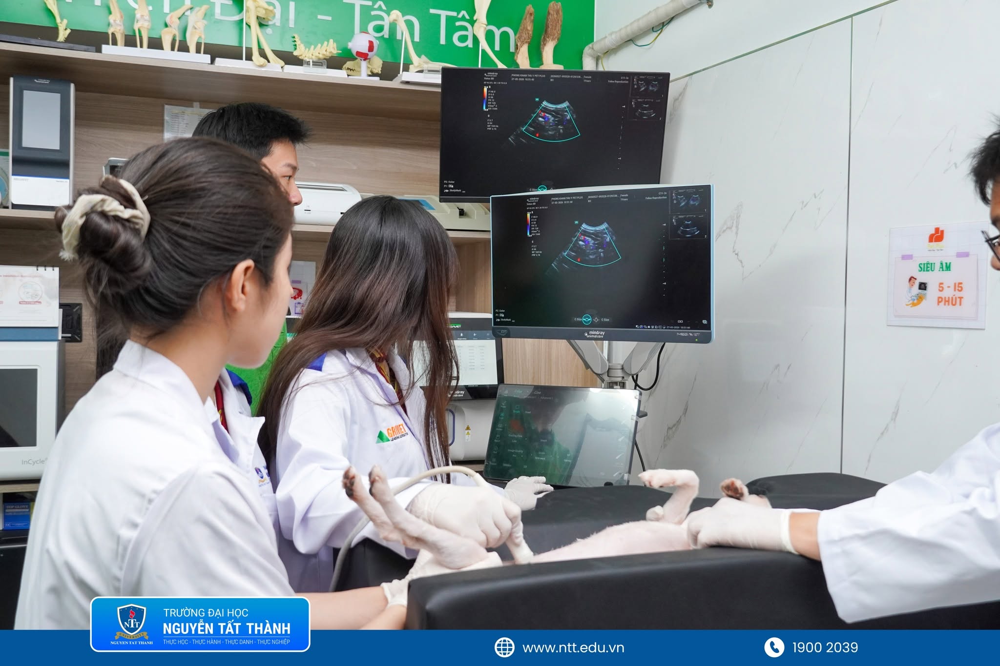 Sinh viên Thú y NTTU trải nghiệm thực tế tại Phòng khám thú y Pet Plus