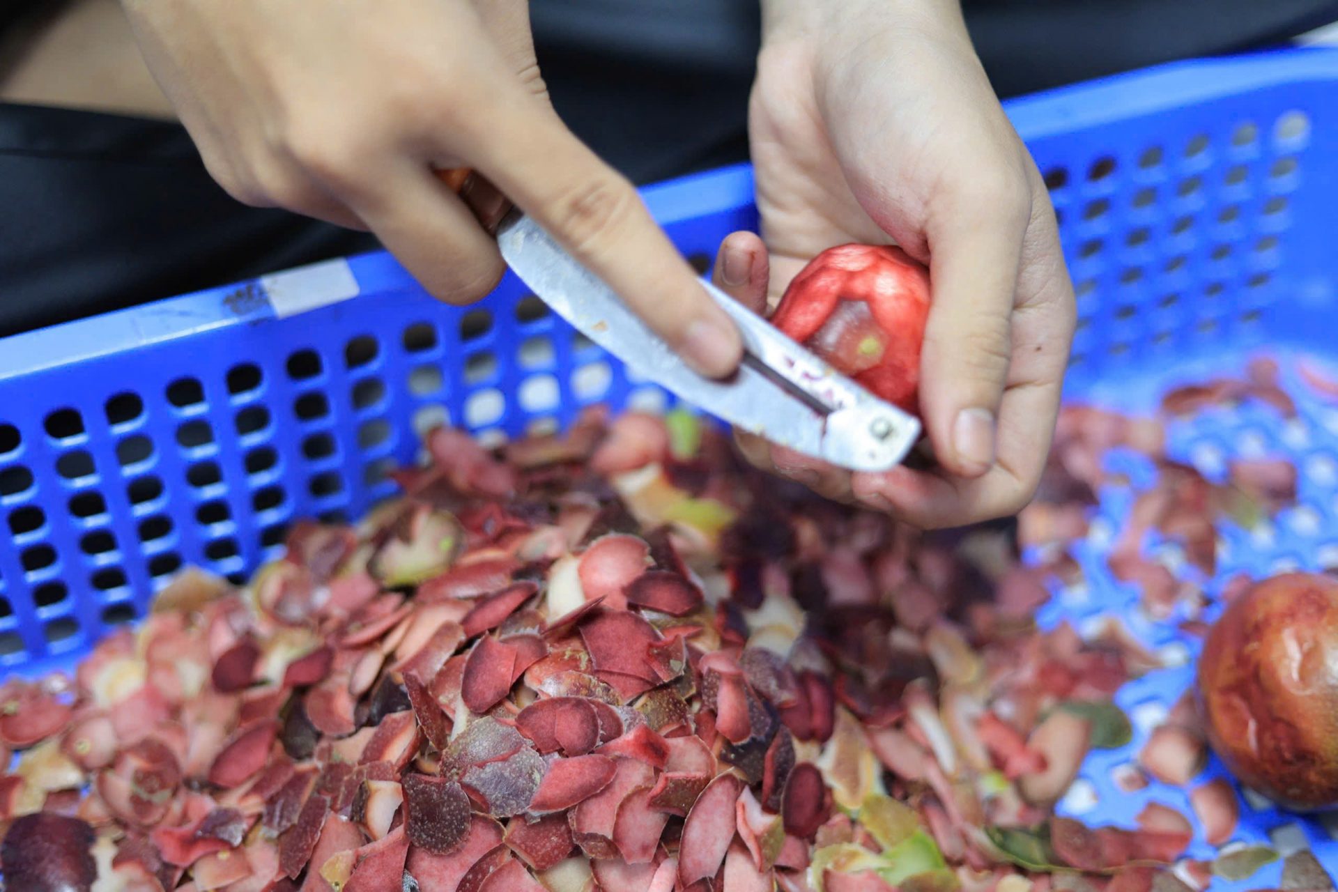 Quy trình chiết pectin từ vỏ chanh dây tím
