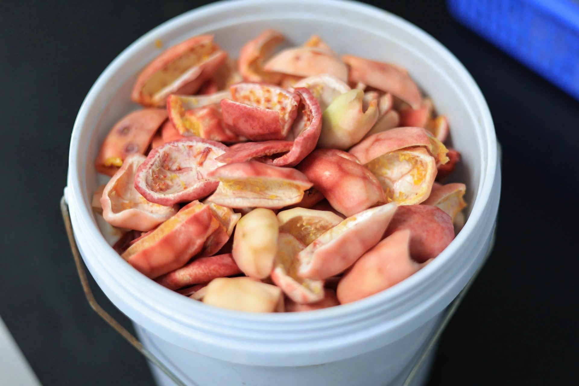 Quy trình chiết pectin từ vỏ chanh dây tím