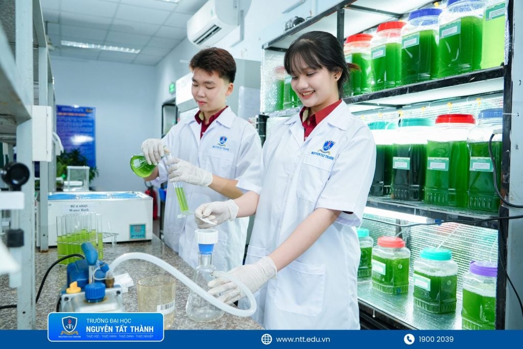 https://ntt.edu.vn/gan-thien-nhien-thi-thu-gian-gan-nganh-quan-ly-tai-nguyen-va-moi-truong-thi-song-xanh-song-chat/