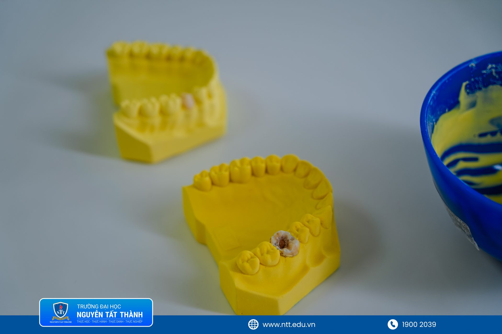 Dưới sự hướng dẫn của ThS.BS. Đỗ Thị Ngọc Anh, học sinh làm quen với quy trình đổ mẫu hàm thạch cao – thao tác nền tảng đòi hỏi sự tập trung, cẩn thận và chính xác trong thực hành nha khoa.