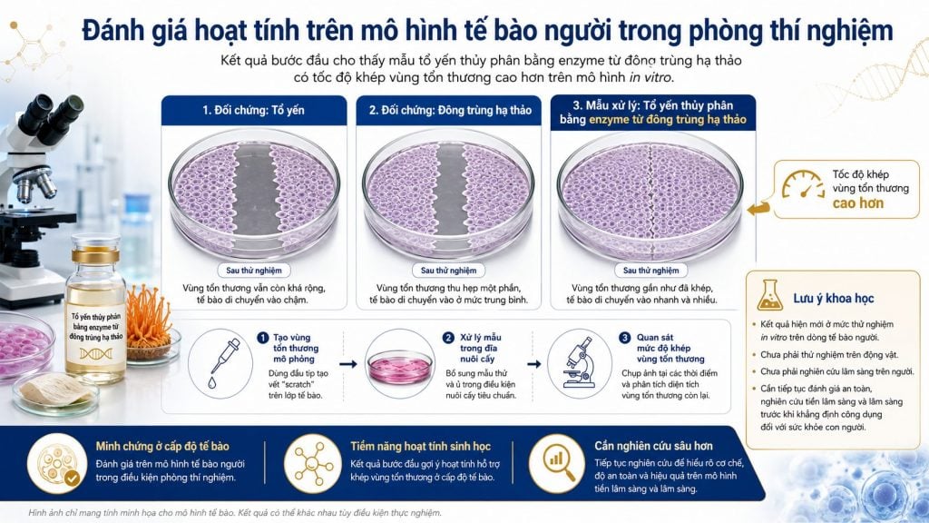 Hình 3