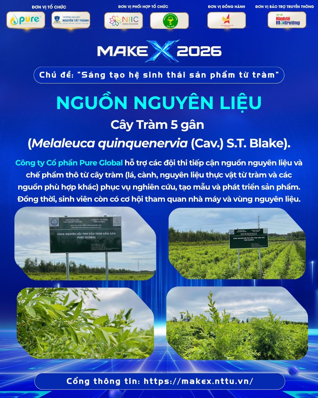 Nguyên liệu cây tràm 